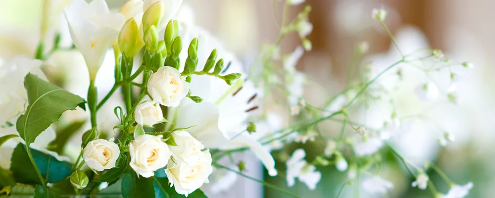بیمه خاکسپاری / سوانح